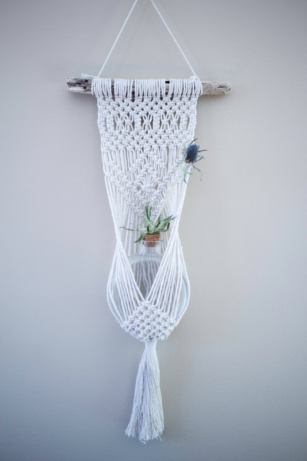 Small Macrame Wall Hanging Plant Holder
